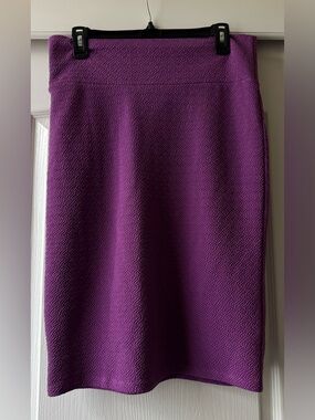 Purple Textured A-Line Skirt